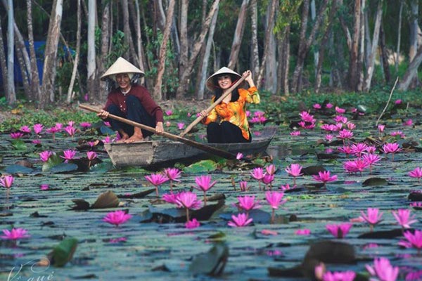 Đề số 32 - Trắc nghiệm văn hóa xã hội