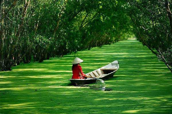 Đề số 41 - Trắc nghiệm văn hóa xã hội