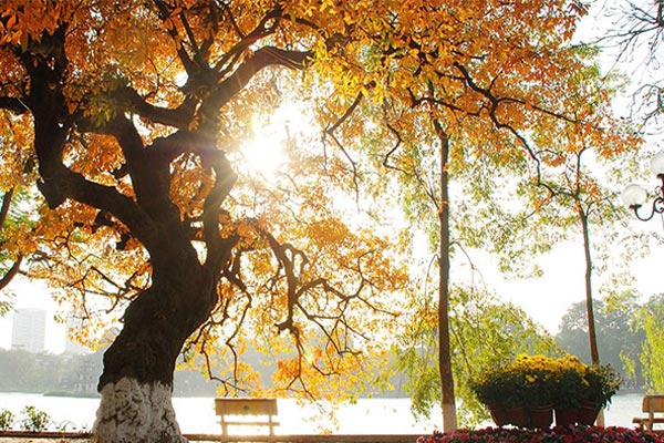 Đề số 43 - Trắc nghiệm văn hóa xã hội