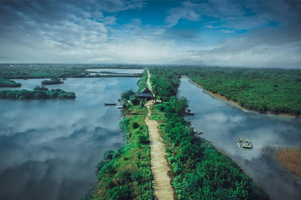 Đề số 49 - Trắc nghiệm văn hóa xã hội