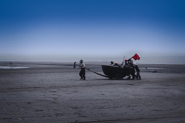 Đề số 51 - Trắc nghiệm văn hóa xã hội