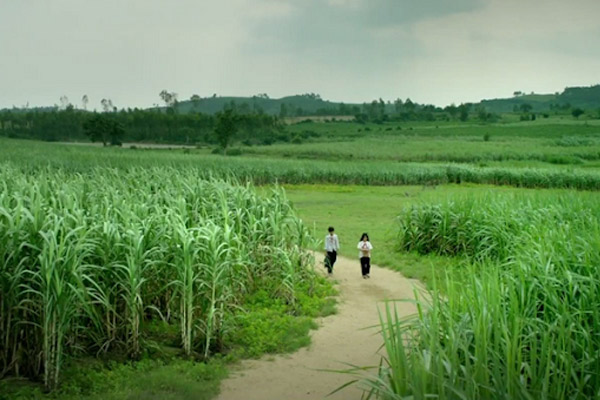 Đề số 53 - Trắc nghiệm văn hóa xã hội