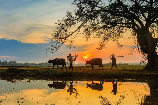 Đề số 55 - Trắc nghiệm văn hóa xã hội