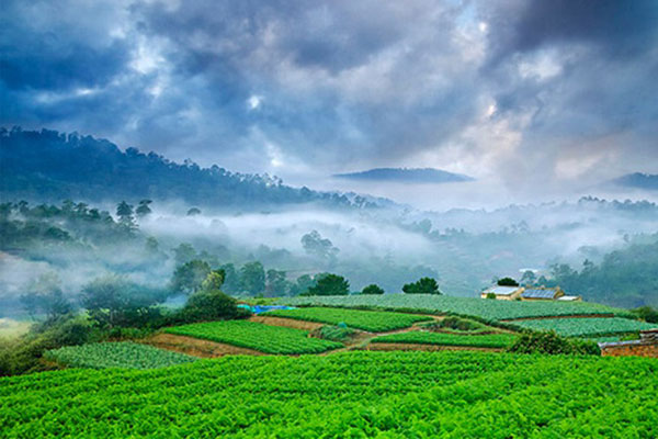 Đề số 56 - Trắc nghiệm văn hóa xã hội