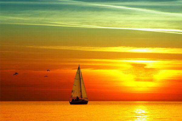 Đề số 58 - Trắc nghiệm văn hóa xã hội