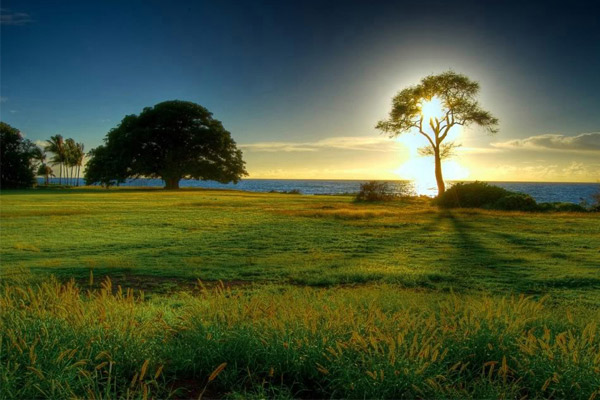 Đề số 61 - Trắc nghiệm văn hóa xã hội