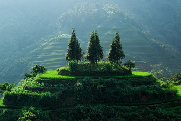 Đề số 62 - Trắc nghiệm văn hóa xã hội