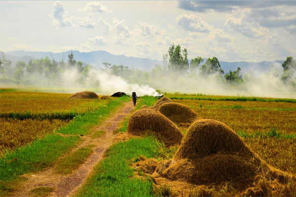 Đề số 65 - Trắc nghiệm văn hóa xã hội