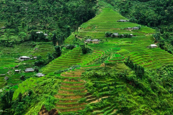 Đề số 66 - Trắc nghiệm văn hóa xã hội